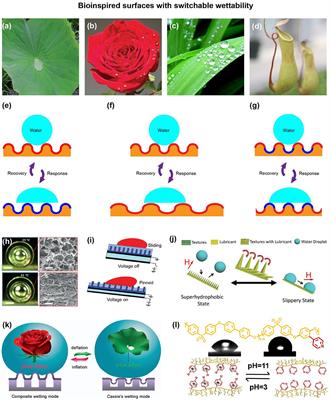 Bioinspired Surfaces With Switchable Wettability